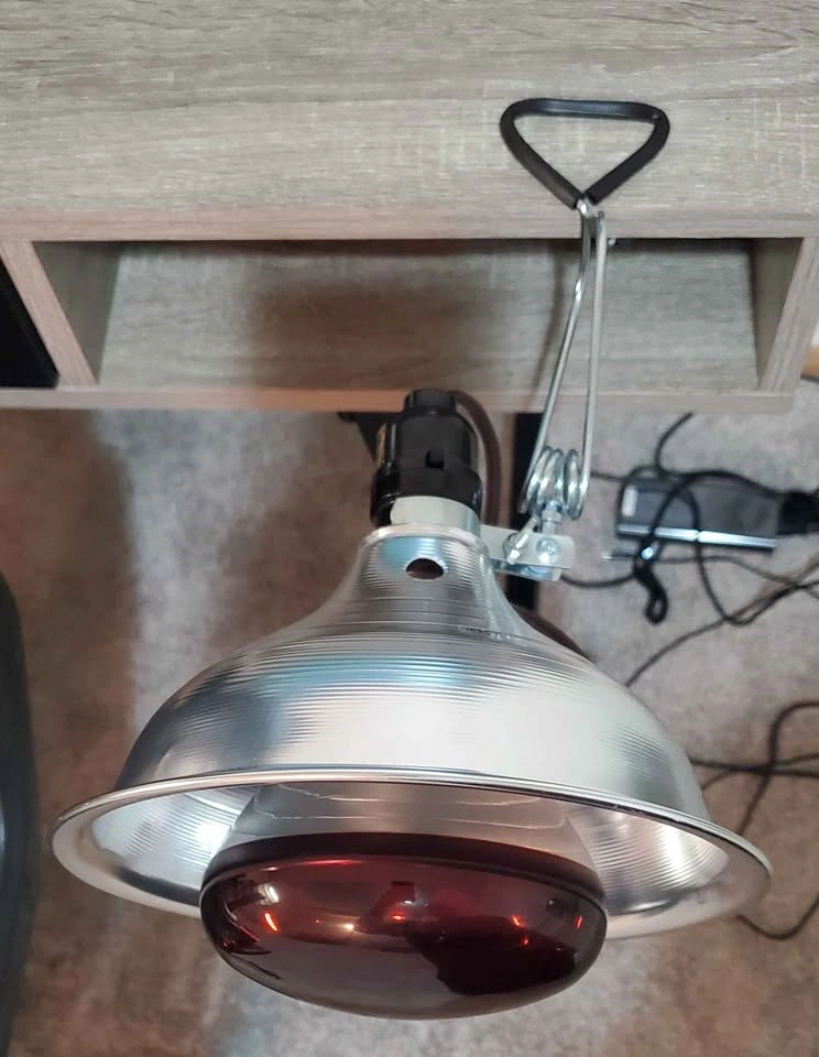 Infrared Red Light/Heat Lamp with Bulb - photo 2