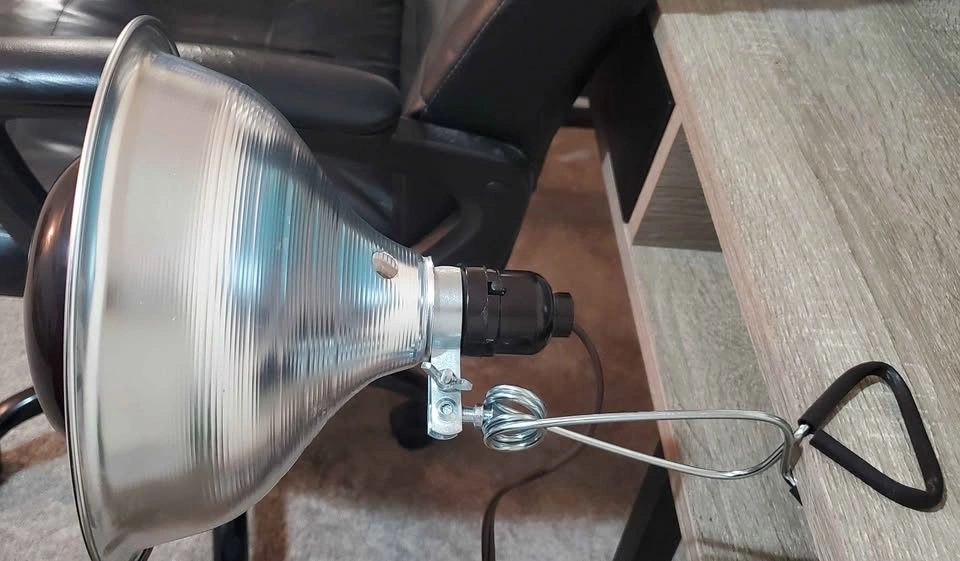 Infrared Red Light/Heat Lamp with Bulb - photo 3