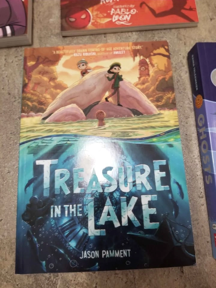 Graphic Novels $5 Each - photo 3