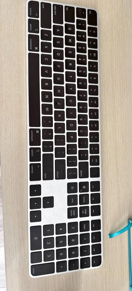 Apple Magic Keyboard with Touch ID and Magic Mouse