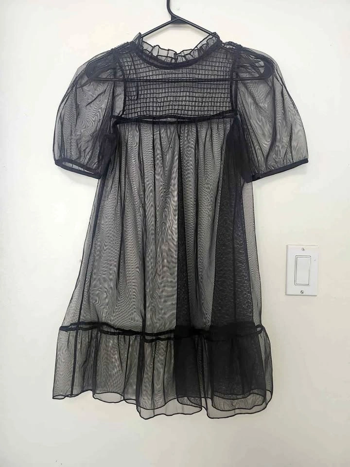 Black Sheer Mesh Puff-Sleeve Mini Dress / Overlay