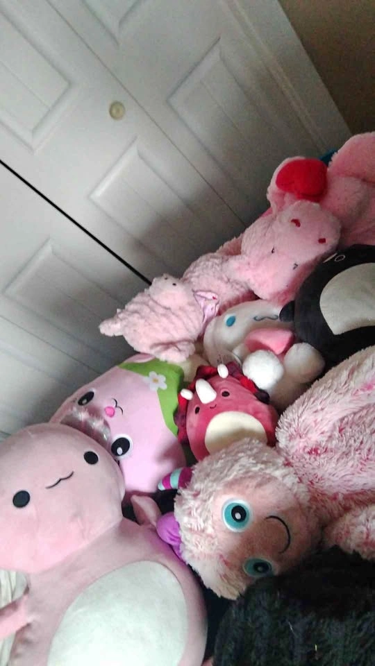 Cute stuffie