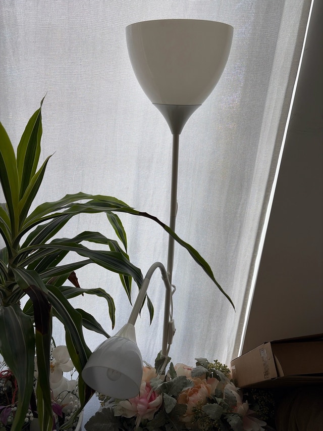 IKEA Floor Lamp