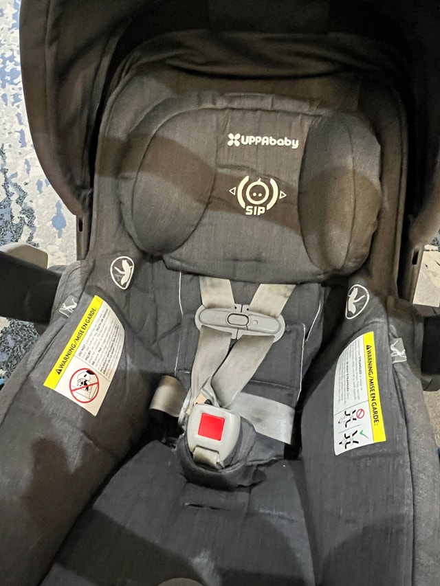UPPAbaby Mesa Infant Car Seat - photo 2