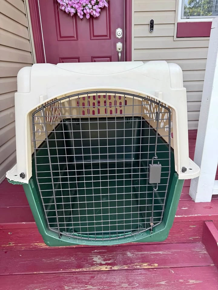 Large dog kennel