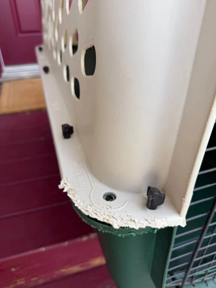 Large dog kennel - photo 4