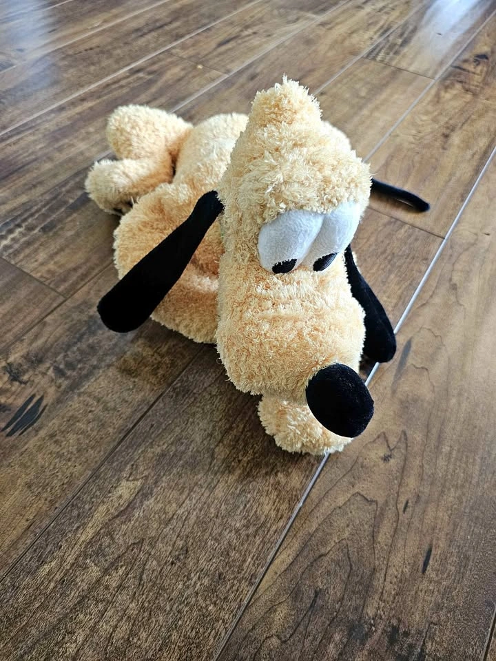 Disney Store Pluto Plush