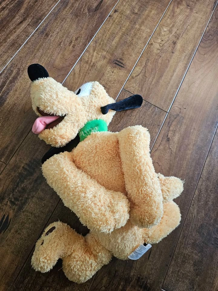 Disney Store Pluto Plush - photo 2