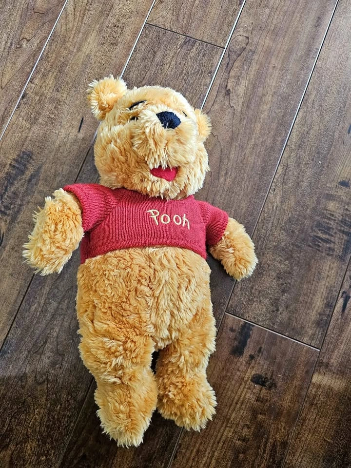 Disney Store Winnie the Pooh Plush