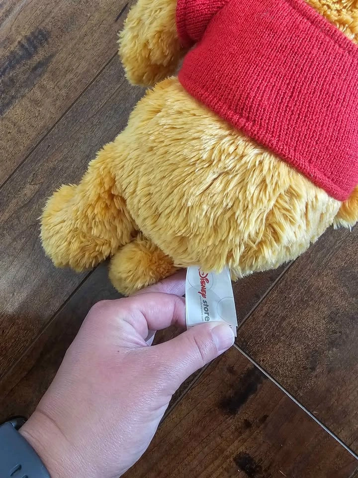 Disney Store Winnie the Pooh Plush - photo 2
