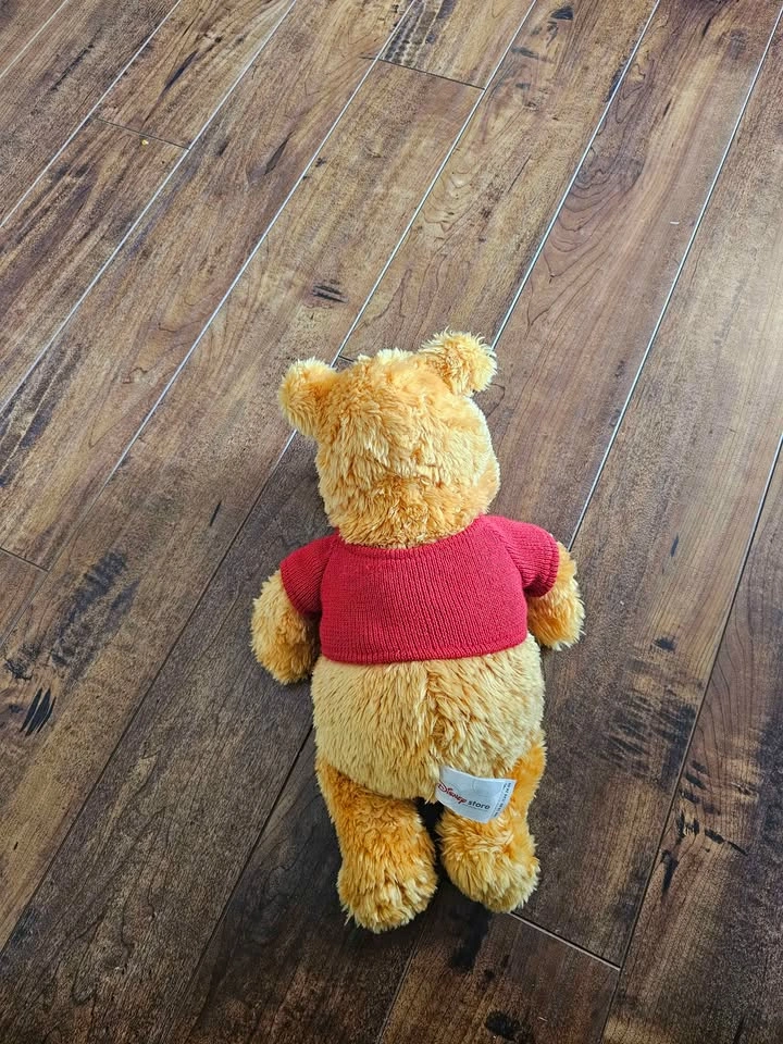Disney Store Winnie the Pooh Plush - photo 3