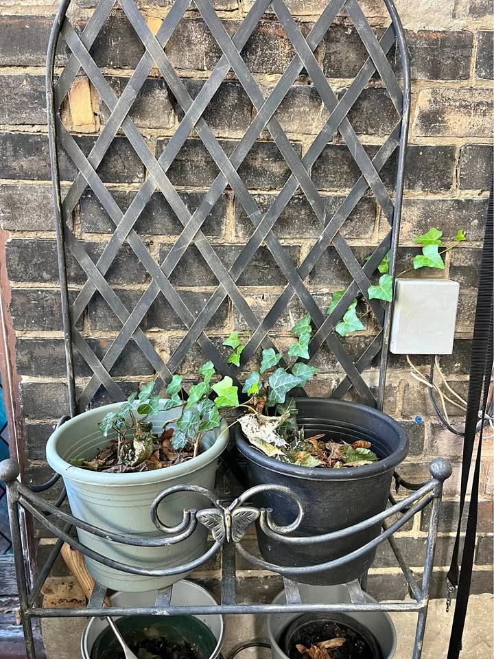 Metal Plant Stand and Trellis