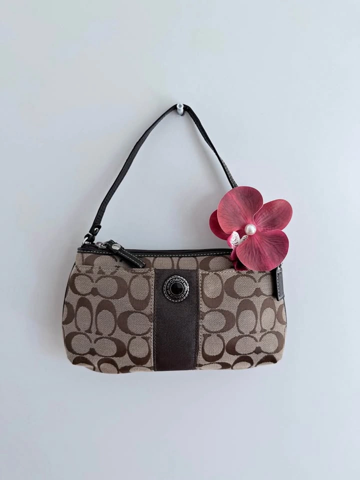 Coach Mini Shoulder bag