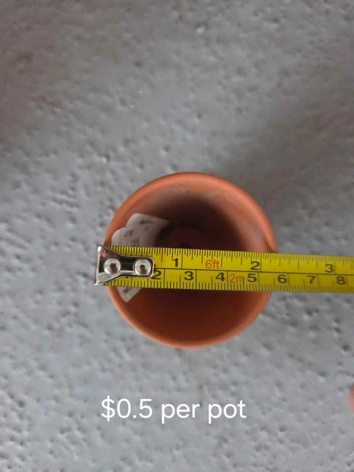 10-pack Terracotta Mini Pots - photo 3