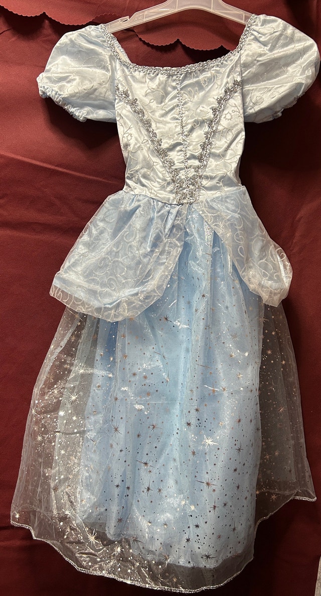 Cinderella Costume