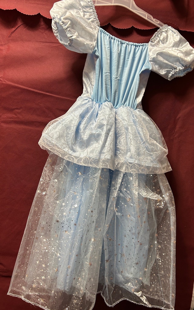 Cinderella Costume - photo 2