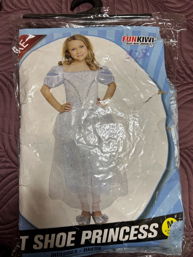 Cinderella Costume - photo 3