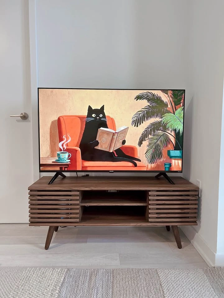 Philips 50" 4K UHD LED Roku Smart TV