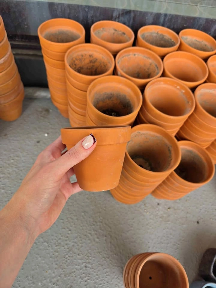 Bulk Terracotta Clay Plant Pots