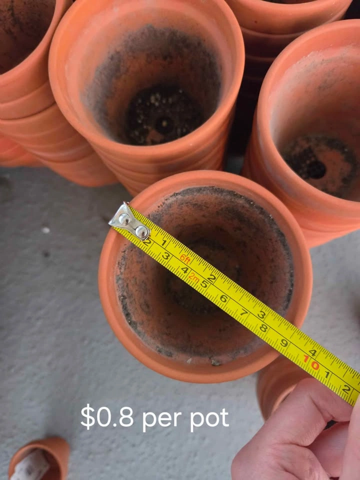 Bulk Terracotta Clay Plant Pots - photo 3