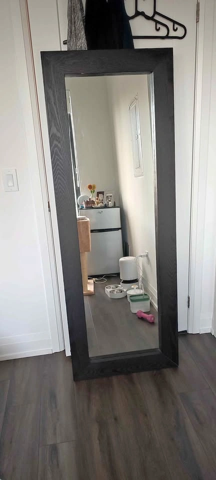 Black/Dark Brown Full-Sized Mirror