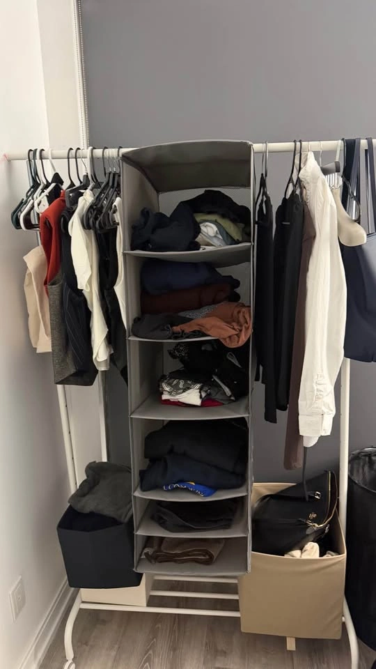 IKEA RIGGA Clothes Rack and SKUBB Hanging Organizer