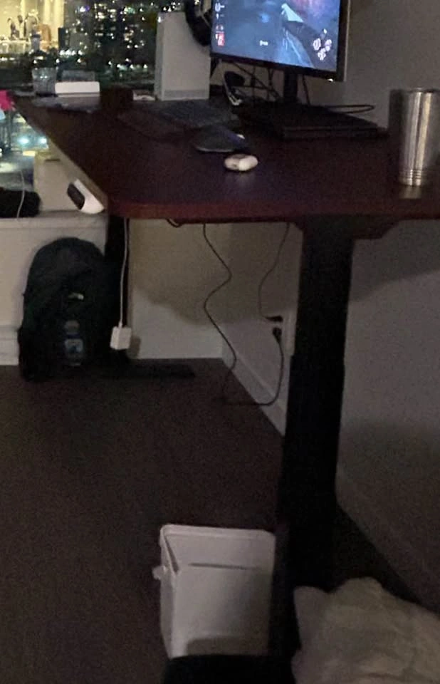 FLEXISPOT E3 Electric Height Adjustable Standing Desk - photo 2