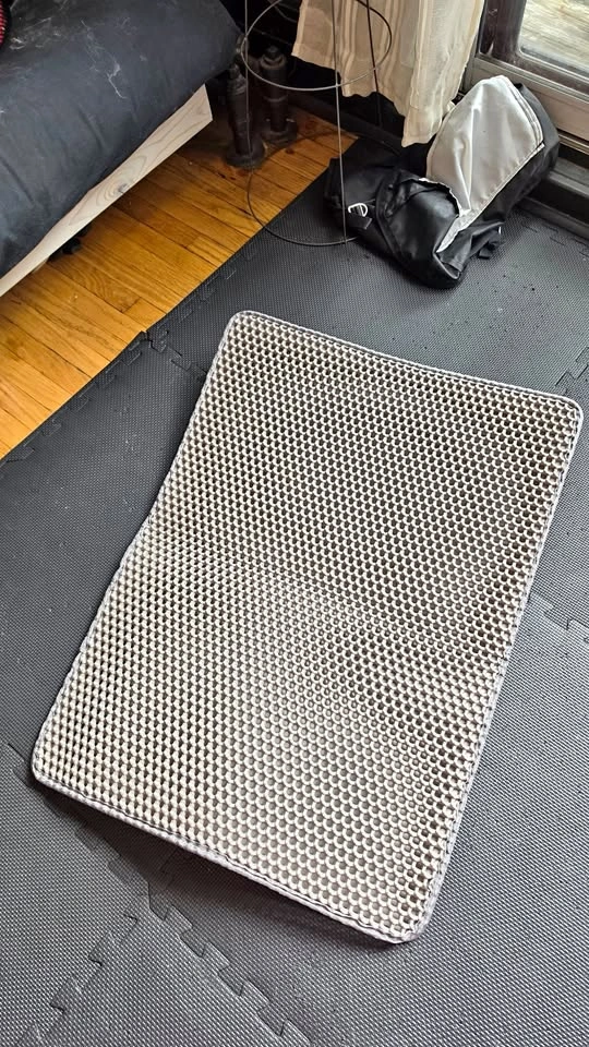 Large Double-Layer Cat Litter Trapping Mat (23" x 31")