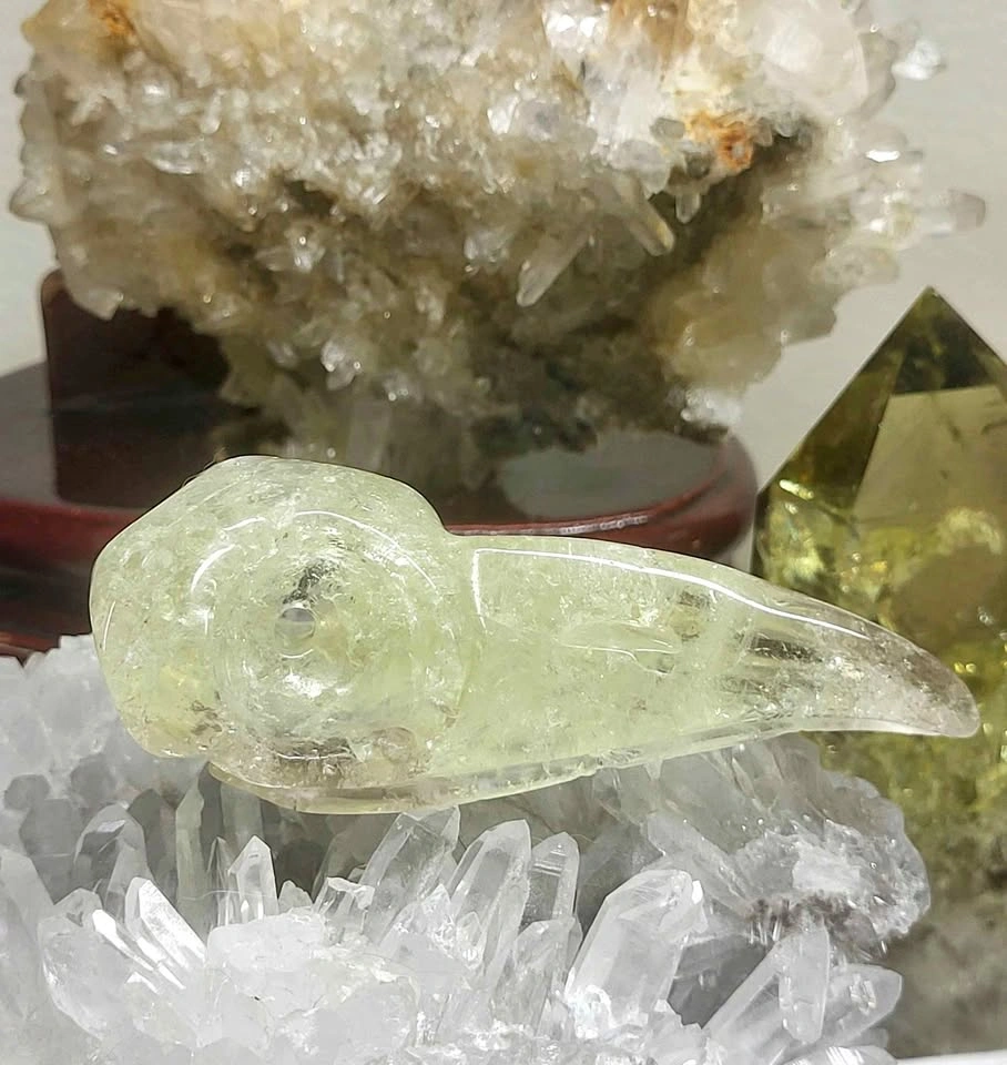 ✨ Citrine Crystal Raven Skull