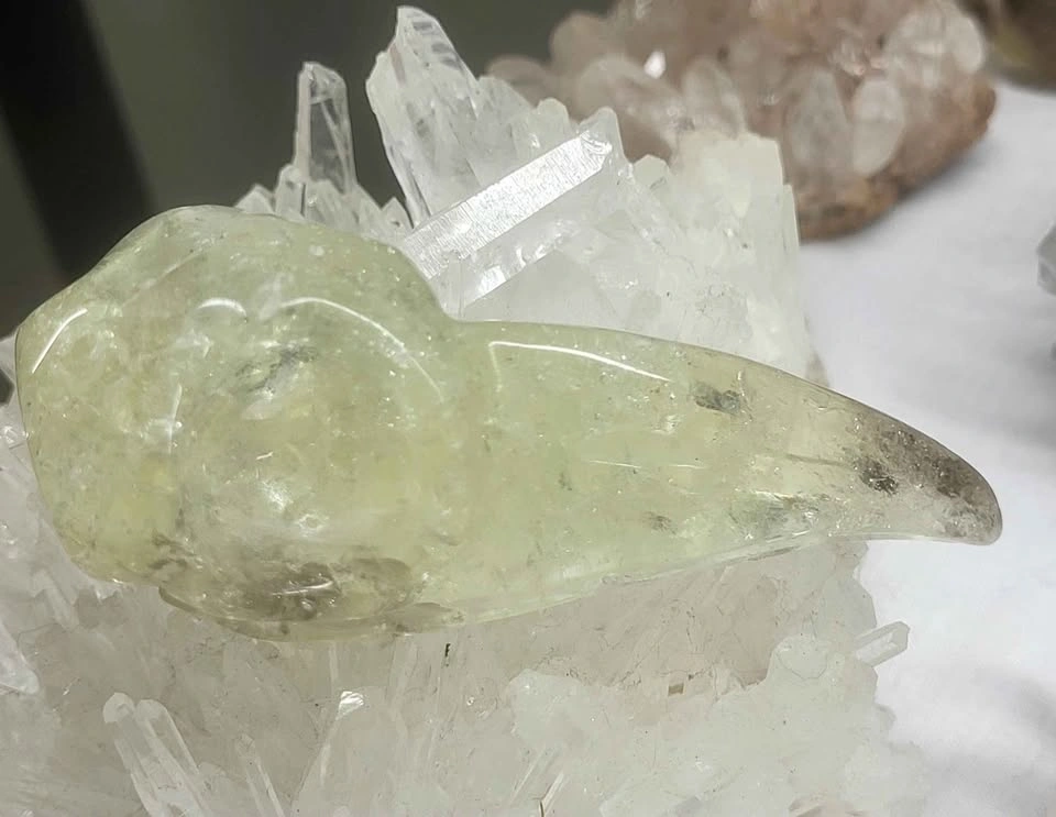 ✨ Citrine Crystal Raven Skull - photo 2