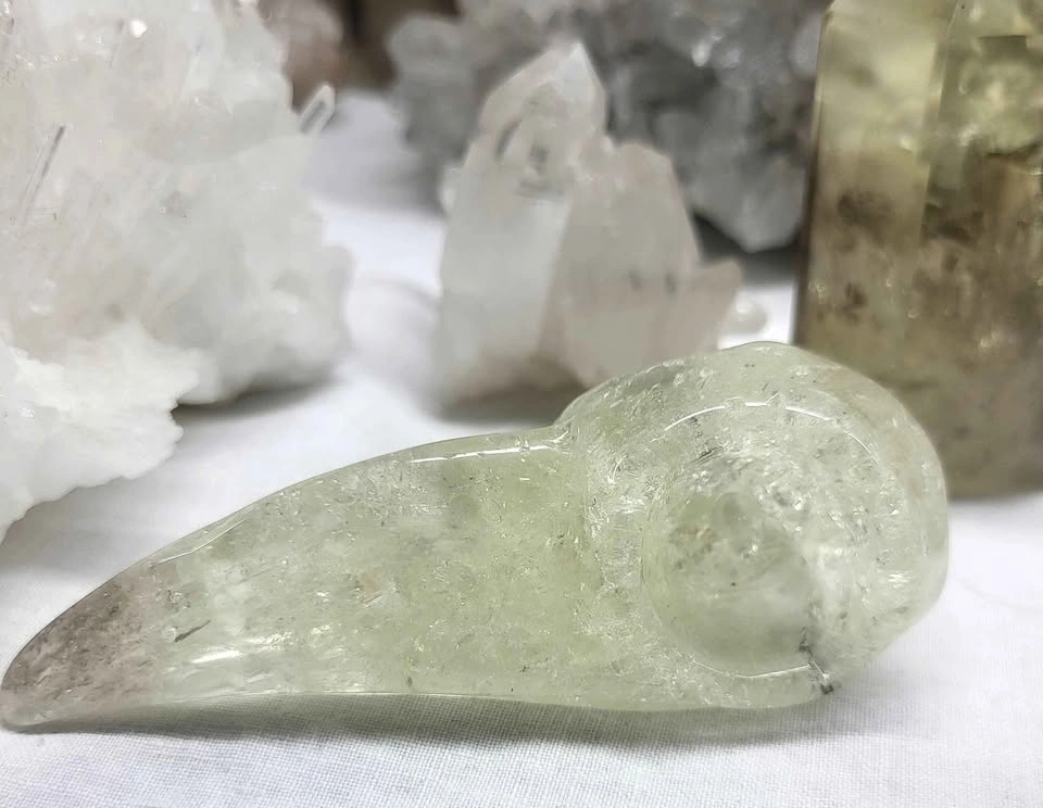 ✨ Citrine Crystal Raven Skull - photo 3