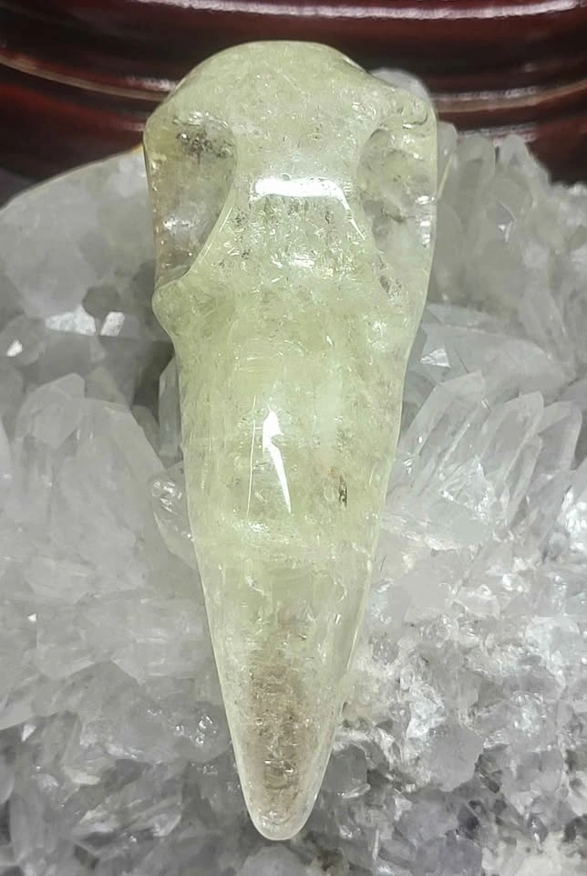 ✨ Citrine Crystal Raven Skull - photo 4