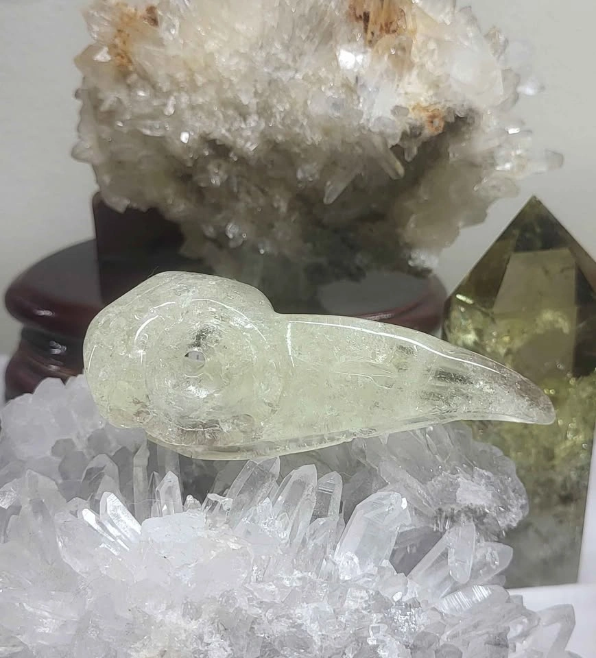 ✨ Citrine Crystal Raven Skull - photo 5