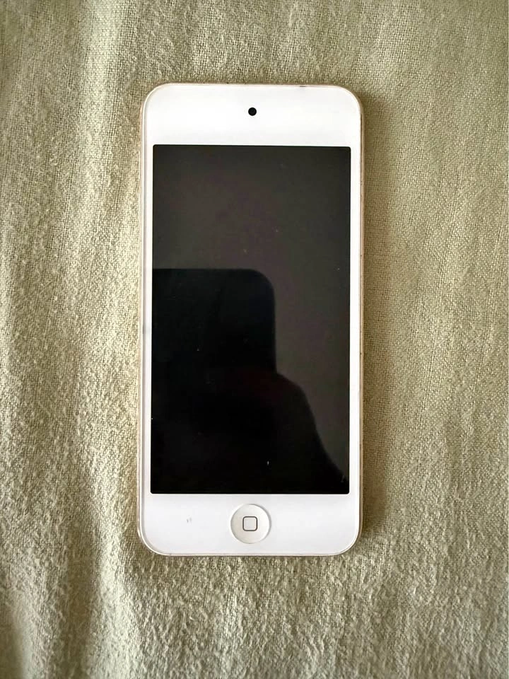 iPod Touch 6th Generation (DOESNT WORK)