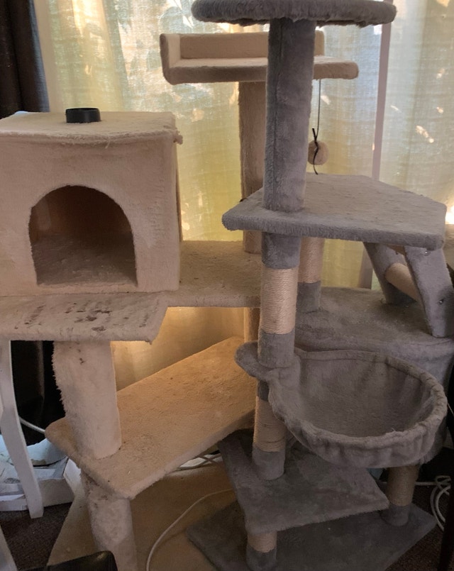 Cat Condo