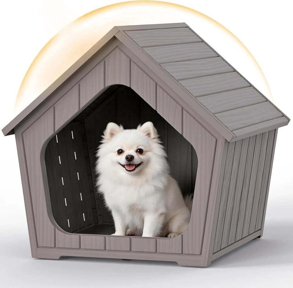 Dog House