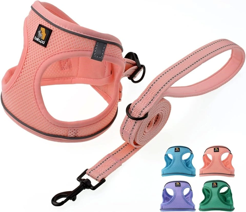 BELLA & PAL Puppy Harness (S)