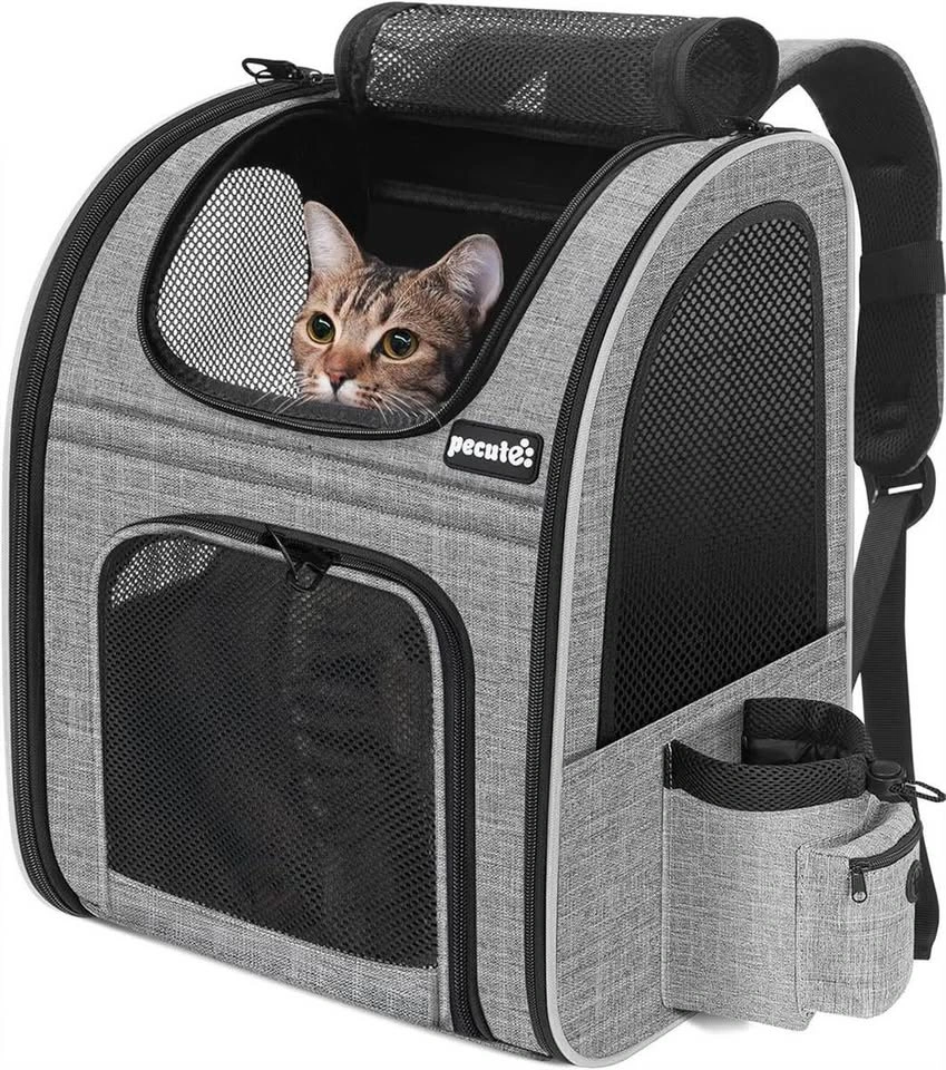 Pecute Cat Backpack