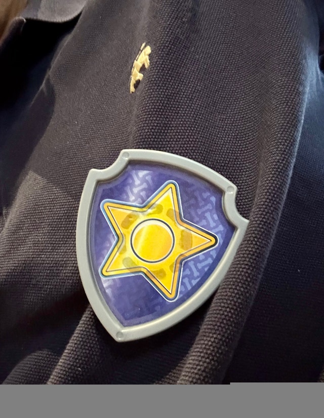 Paw Patrol Sky and Chase Wing Badges - photo 2