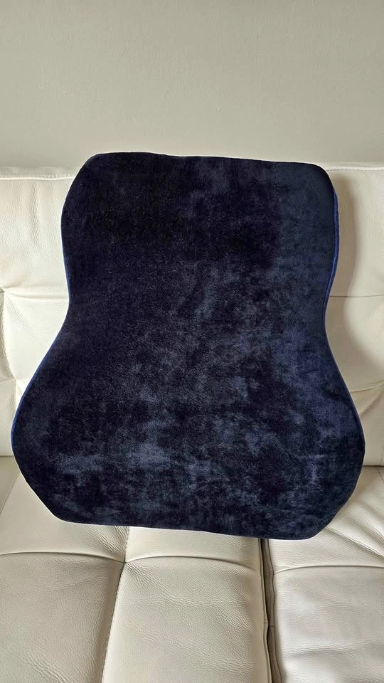 Samsonite lumbar support cushion