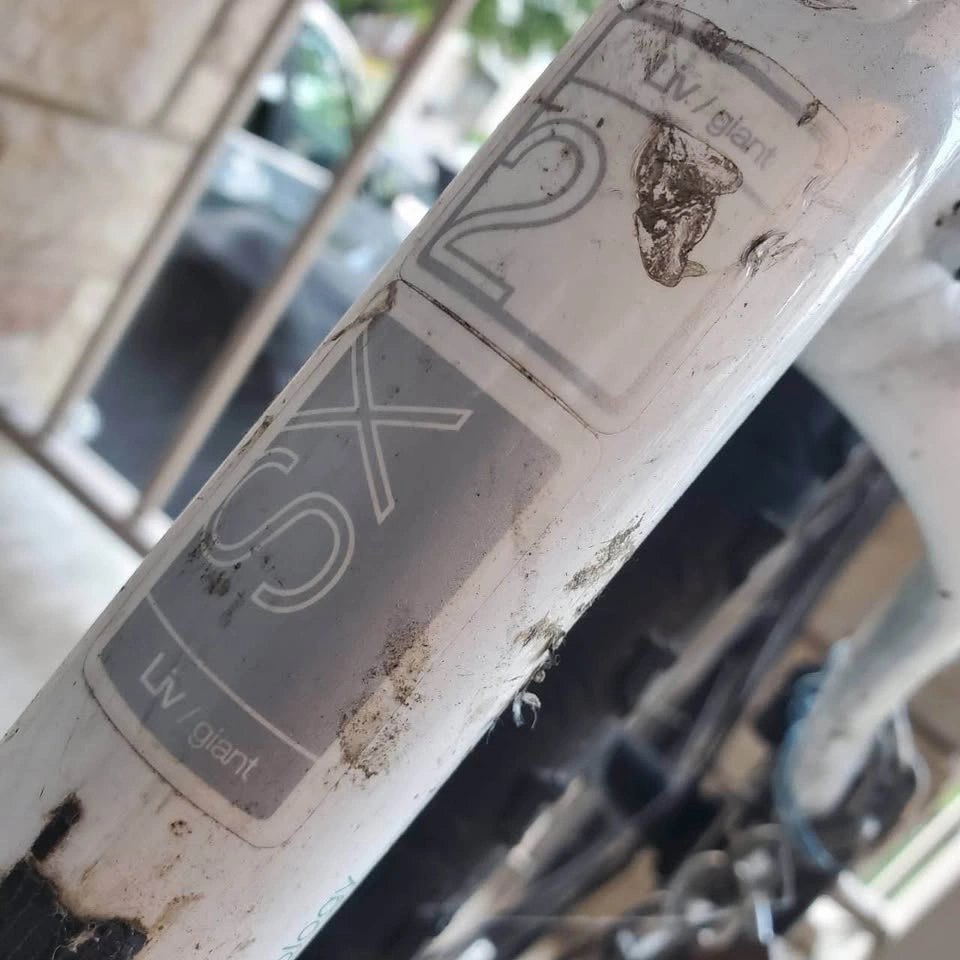 Liv/Giant Rove SX 2 - photo 4