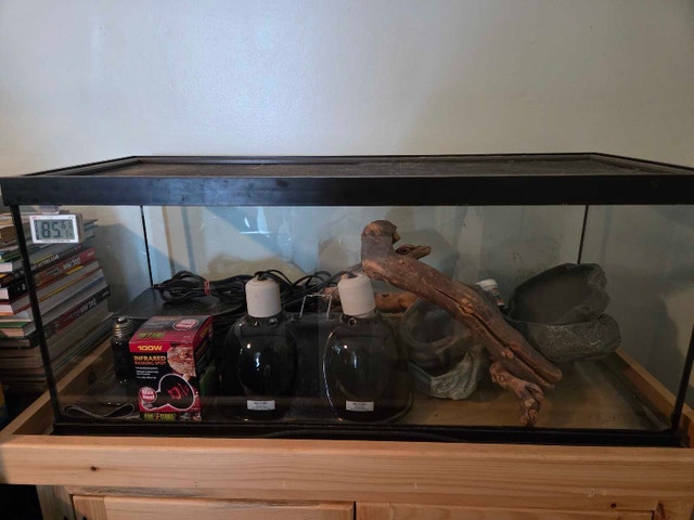 20 Gallon Reptile Terrarium w/accessories Custom Pine Stand - photo 2