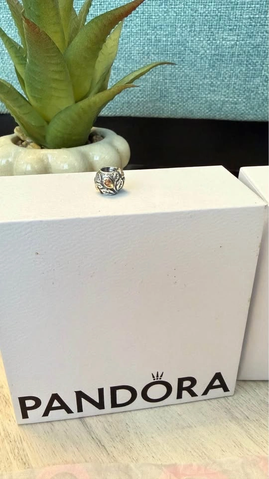 Pandora Bracelets, Charms & Safety Chain • Individual Prices - photo 4