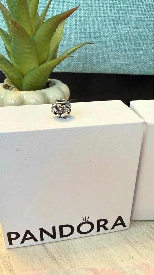 Pandora Bracelets, Charms & Safety Chain • Individual Prices - photo 5