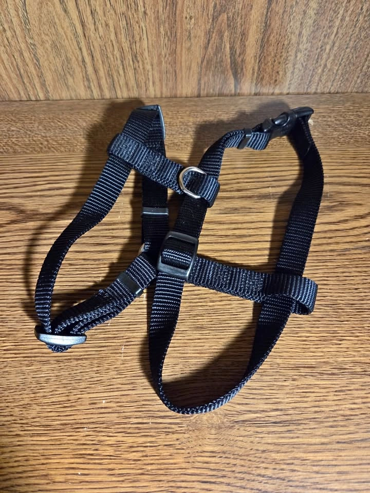 Small Dog Harness