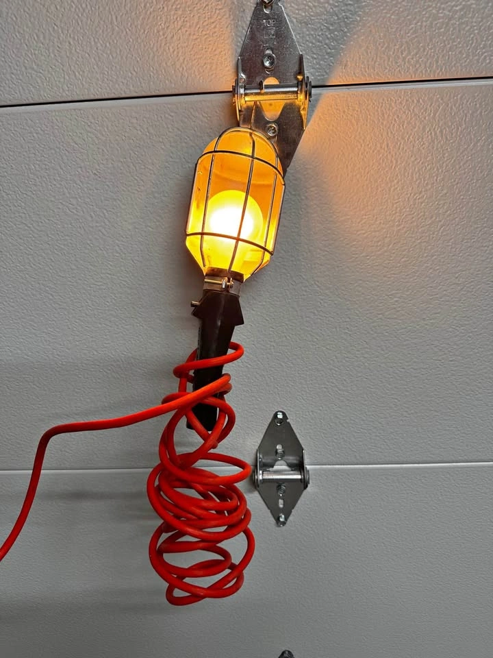 Caged Trouble Light / Drop Light - Working - Coiled Red Cord