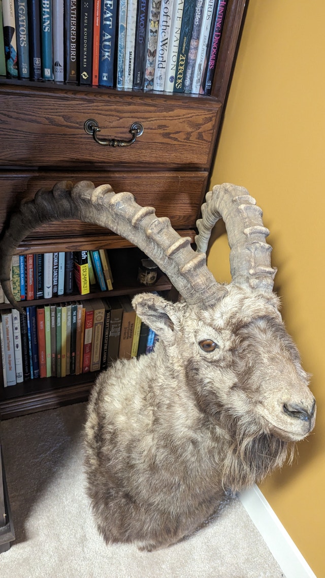Ibex alti shoulder mount - photo 2
