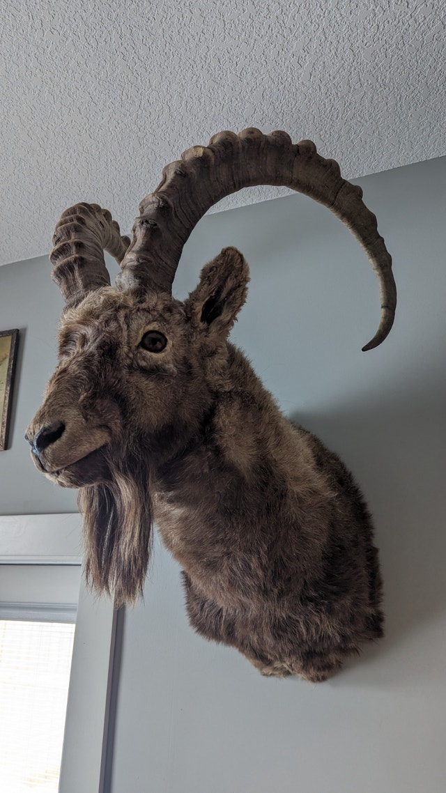 Ibex alti shoulder mount - photo 3