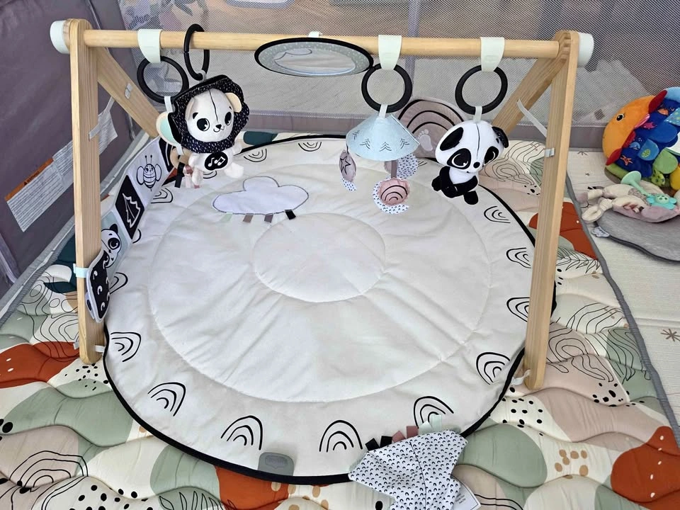 Baby Play Mat