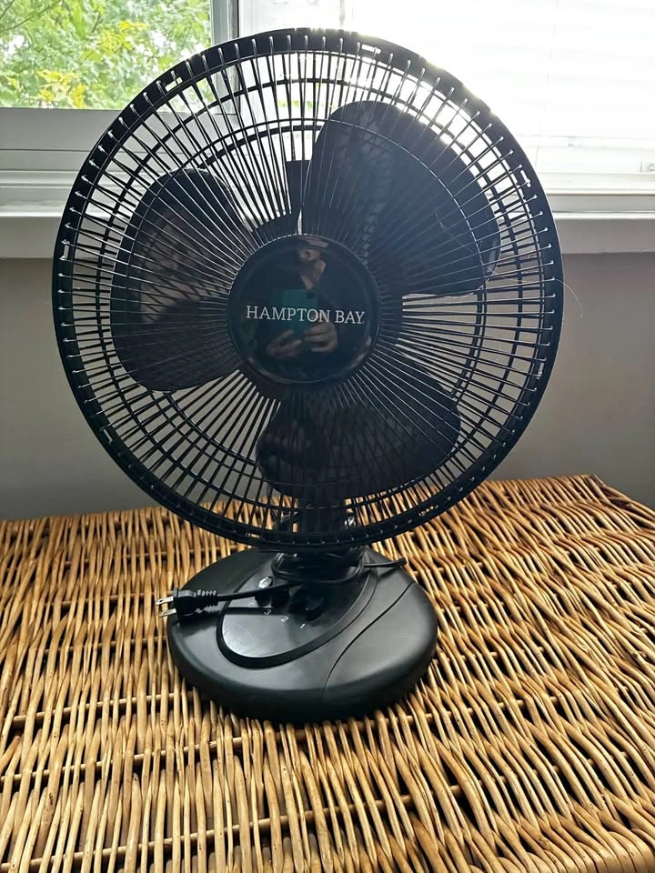 Table fan
